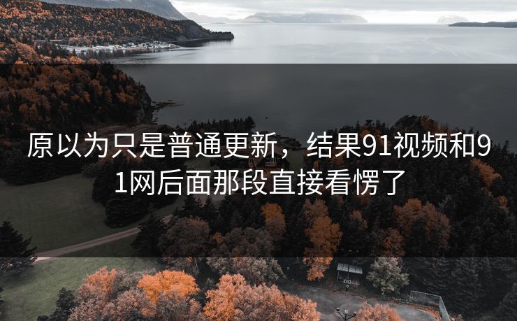 原以为只是普通更新，结果91视频和91网后面那段直接看愣了